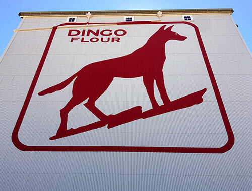 Dingo Flour Wall Replacement